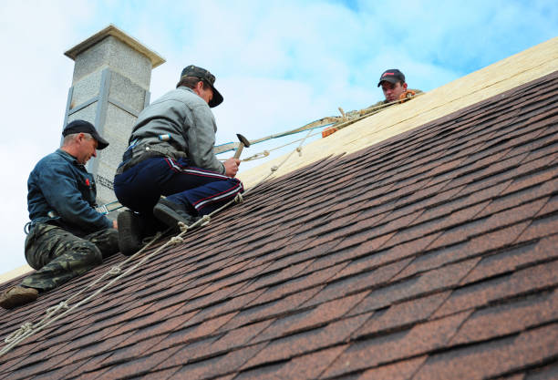 Best Roof Leak Repair  in Salineville, OH